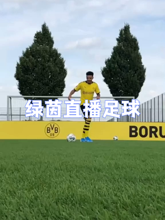 h3捷报足球比分即时网